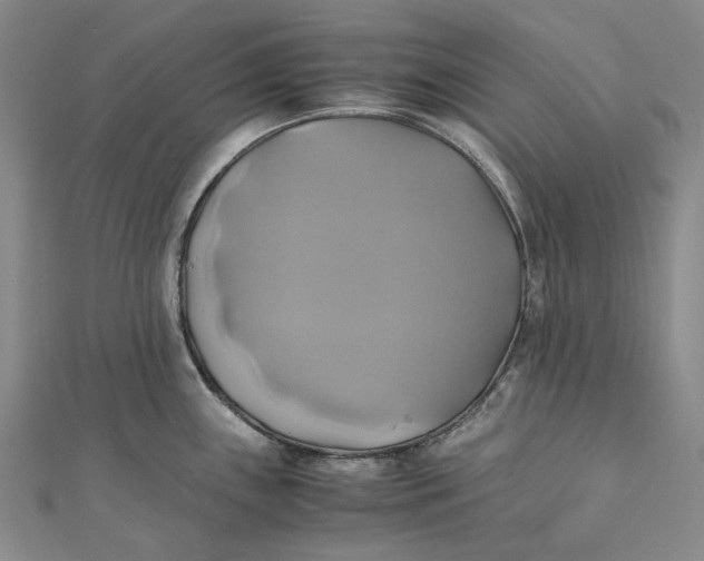 X0000110971243200907101342