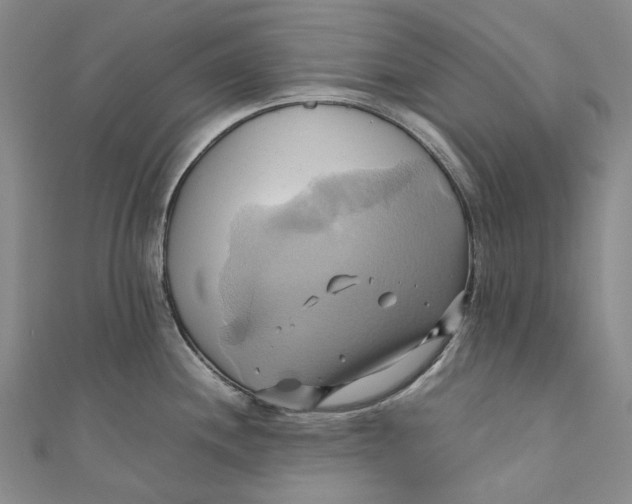 X0000110971244200907101342