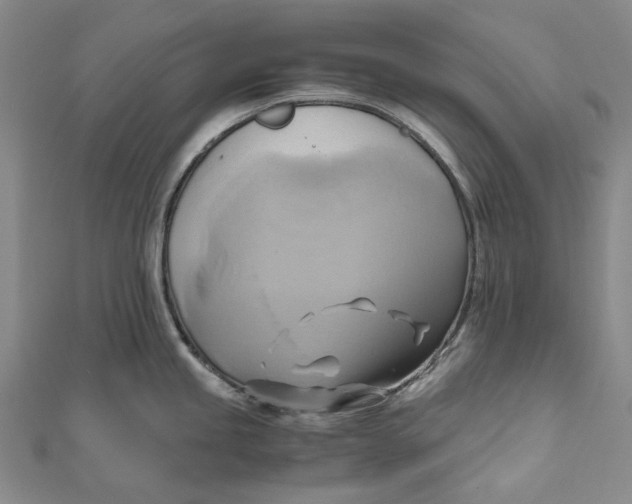 X0000110971245200907101342