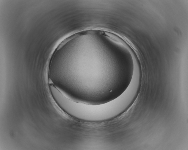 X0000110971246200907101342