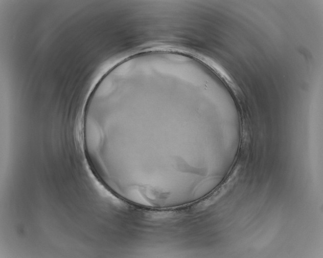 X0000110971247200907101342