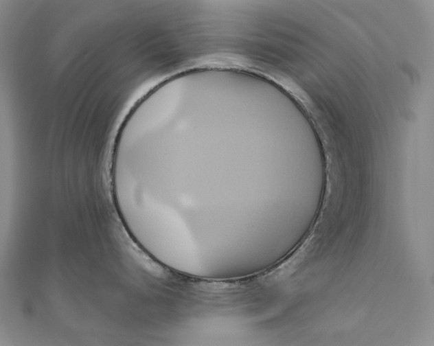 X0000110971248200907101342