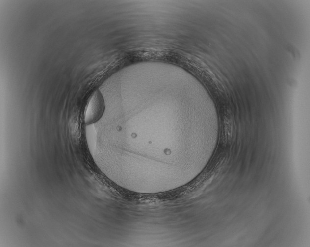 X0000110971250200907101342