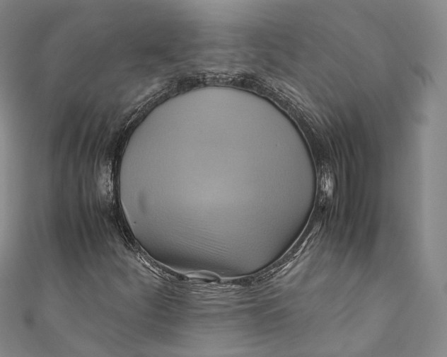 X0000110971252200907101342