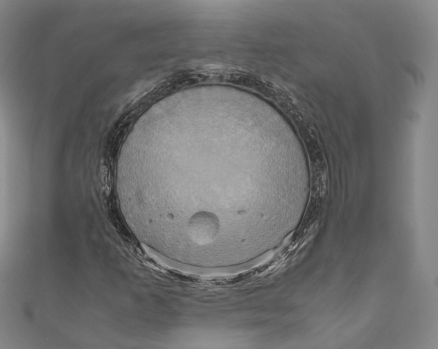 X0000110971253200907101342