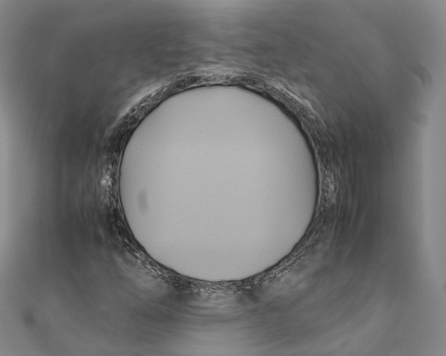 X0000110971254200907101341