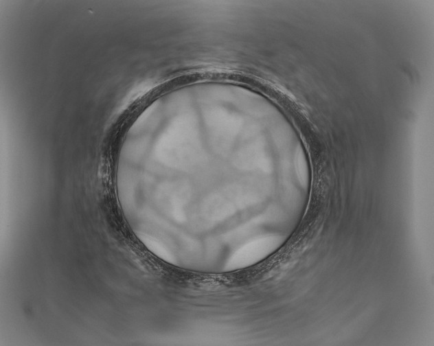 X0000110971255200907101341