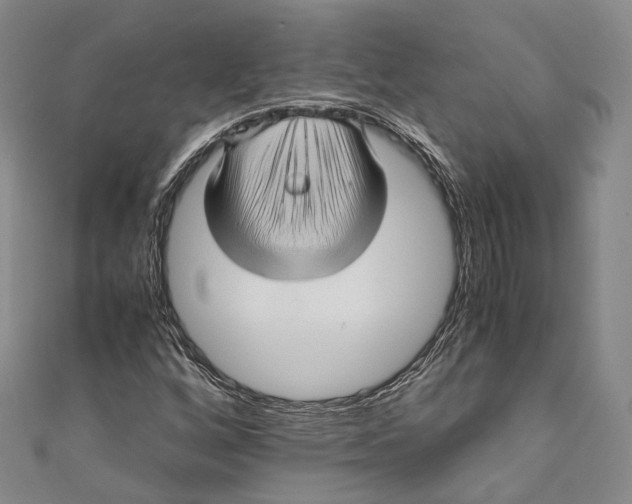 X0000110971256200907101341