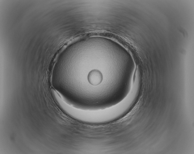 X0000110971257200907101341