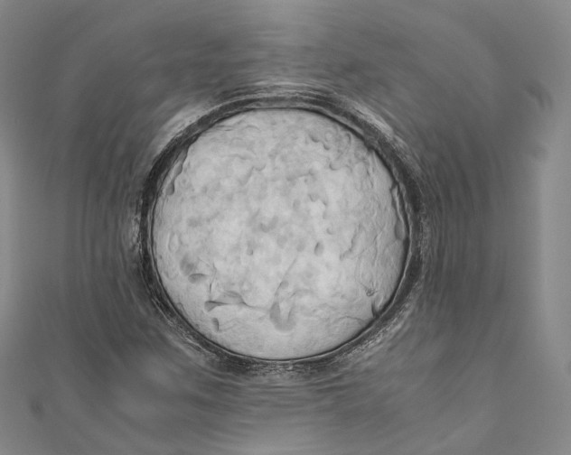 X0000110971259200907101341