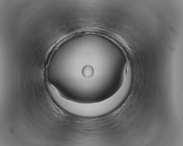 X0000110971260200907101341