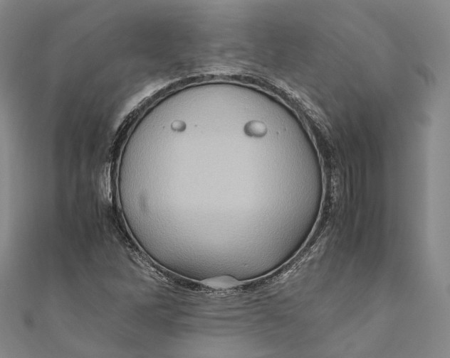 X0000110971262200907101341