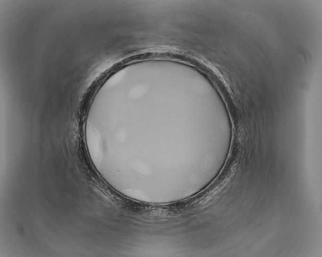 X0000110971263200907101341