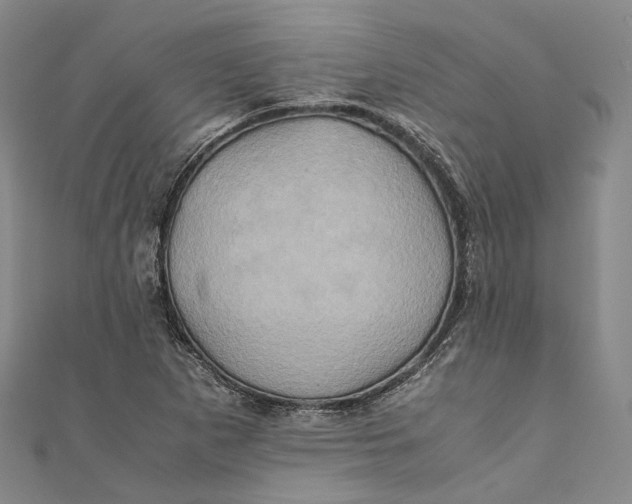 X0000110971265200907101341