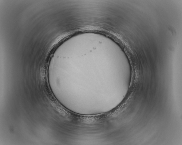 X0000110971266200907101341