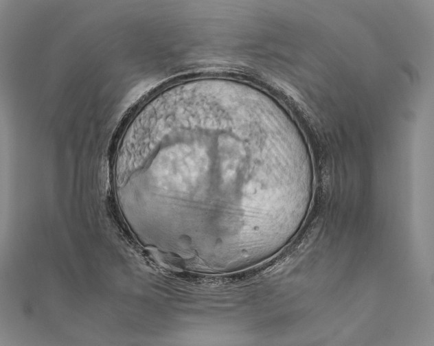 X0000110971267200907101341