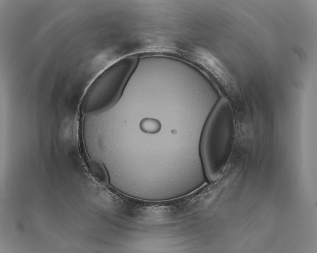 X0000110971268200907101341