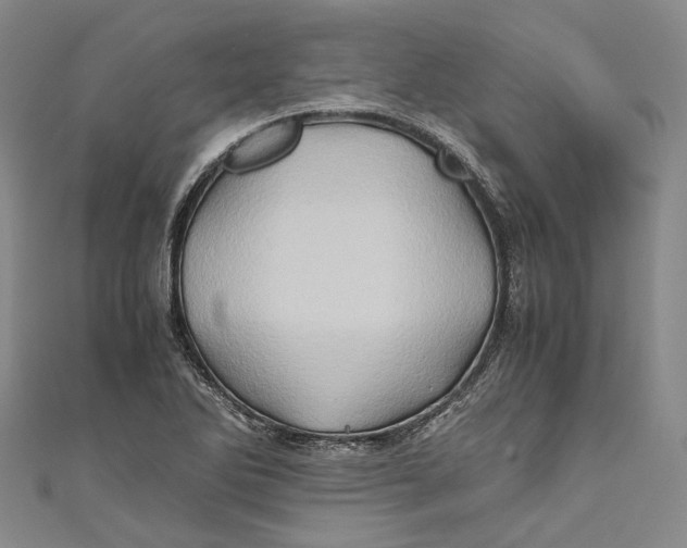 X0000110971270200907101341