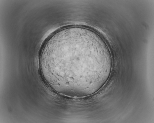 X0000110971271200907101341