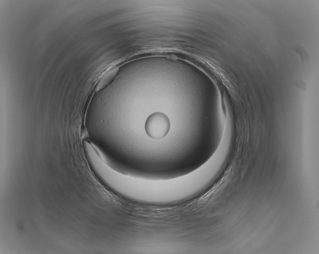 X0000110971273200907101341