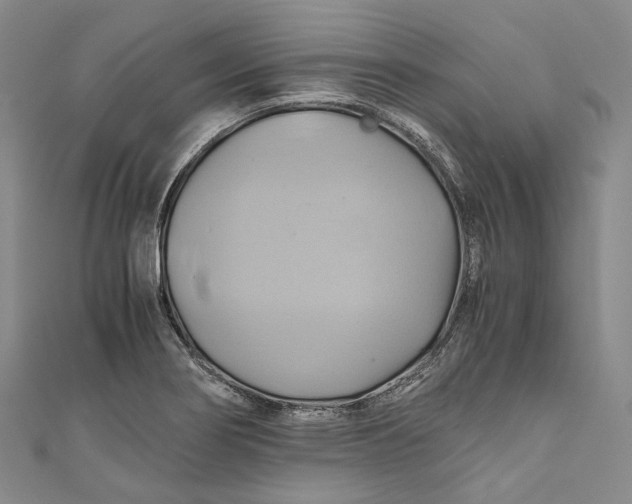 X0000110971274200907101341