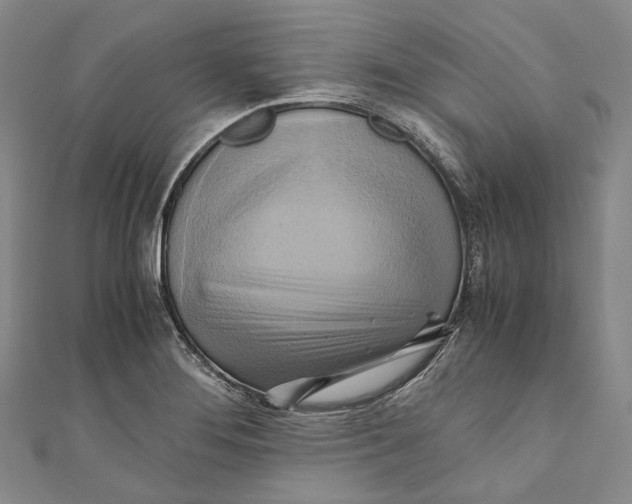 X0000110971276200907101341