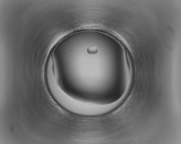 X0000110971277200907101341