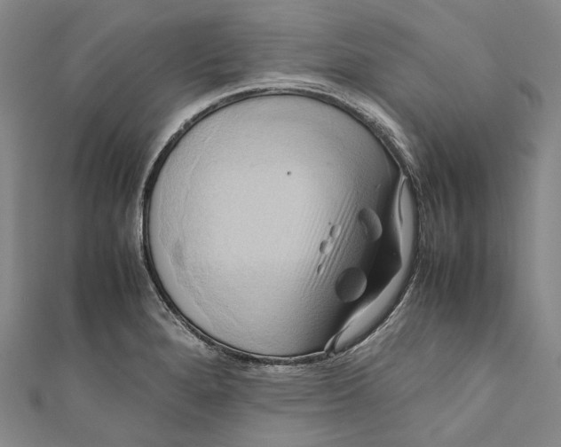 X0000110971280200907101341