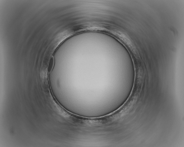 X0000110971281200907101341