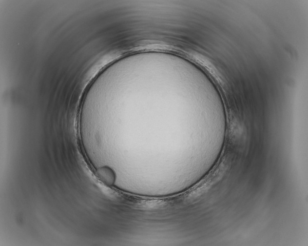 X0000110971282200907101341