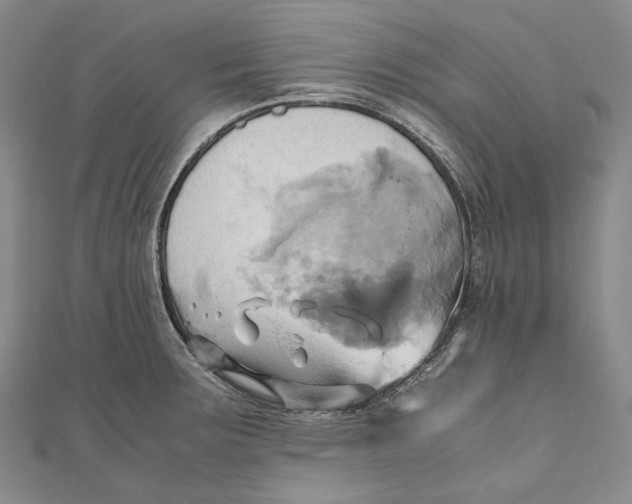 X0000110971283200907101341