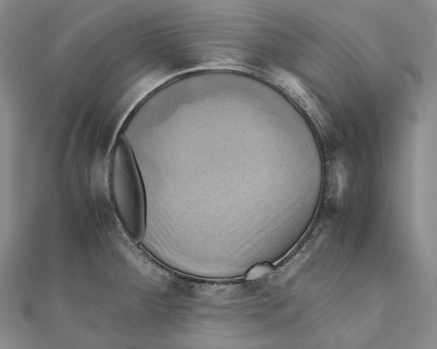 X0000110971284200907101341