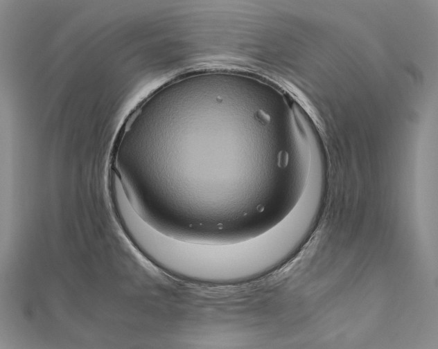 X0000110971285200907101341