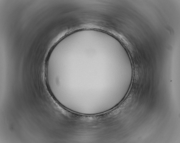 X0000110971286200907101341