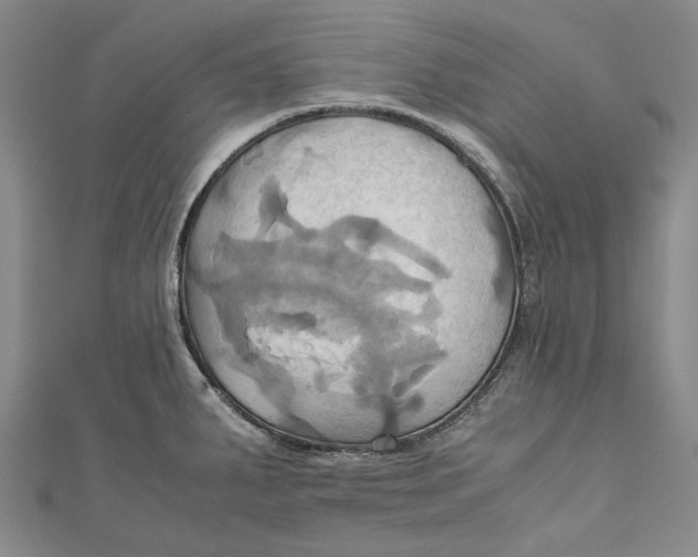 X0000110971287200907101341