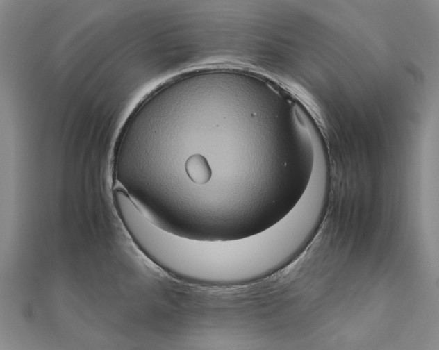 X0000110971288200907101341