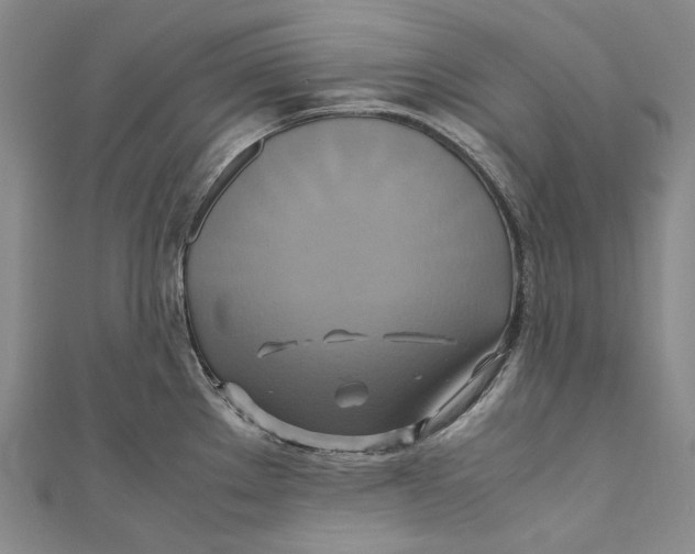 X0000110971289200907101341