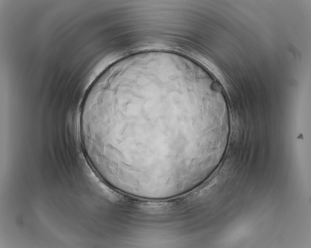 X0000110971290200907101341