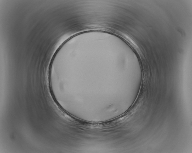 X0000110971291200907101341