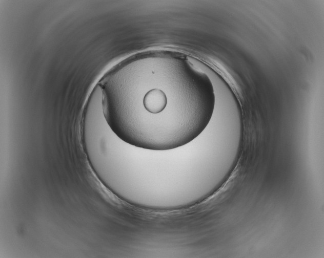 X0000110971292200907101341