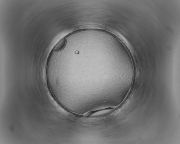 X0000110971293200907101341