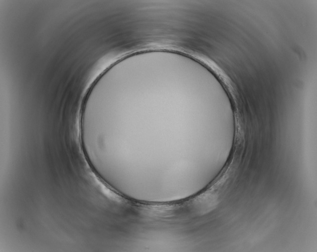 X0000110971294200907101341