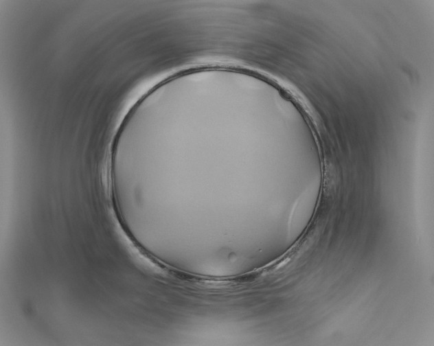 X0000110971295200907101341