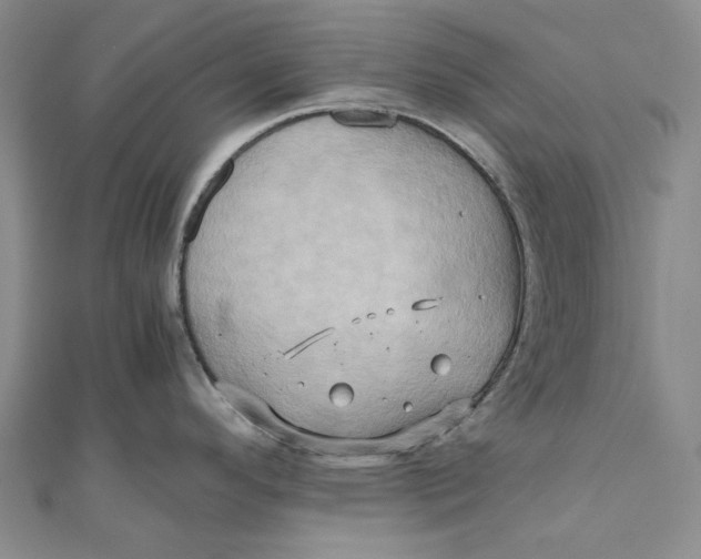 X0000110971296200907101341