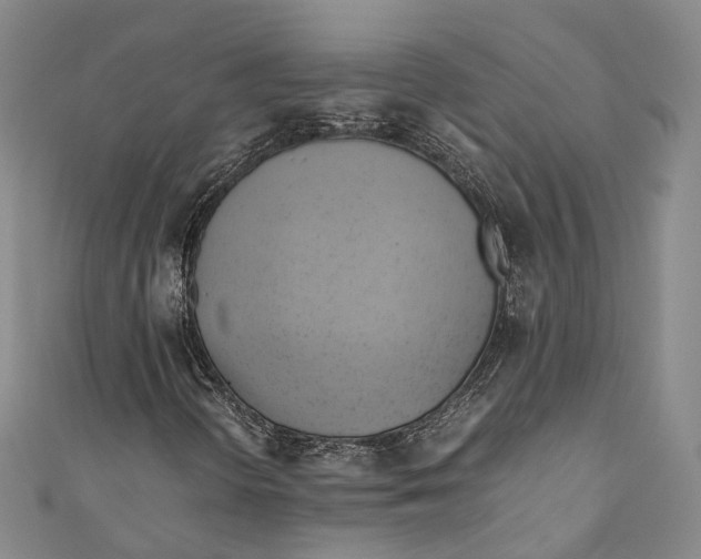 X0000110971298200907101340