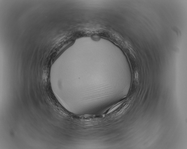 X0000110971300200907101340