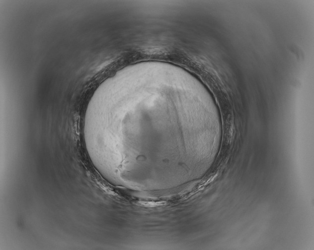 X0000110971301200907101340