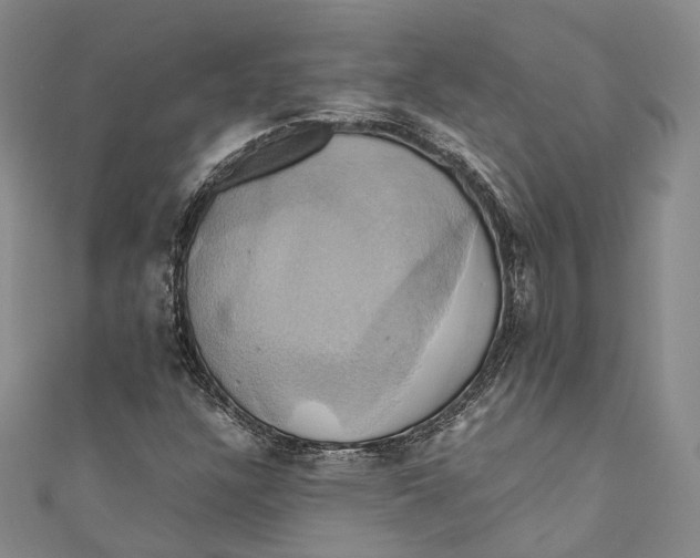 X0000110971304200907101340