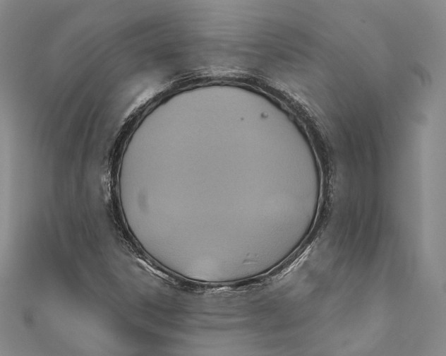 X0000110971306200907101340