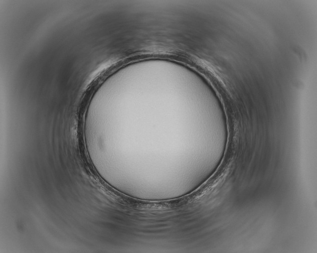 X0000110971307200907101340